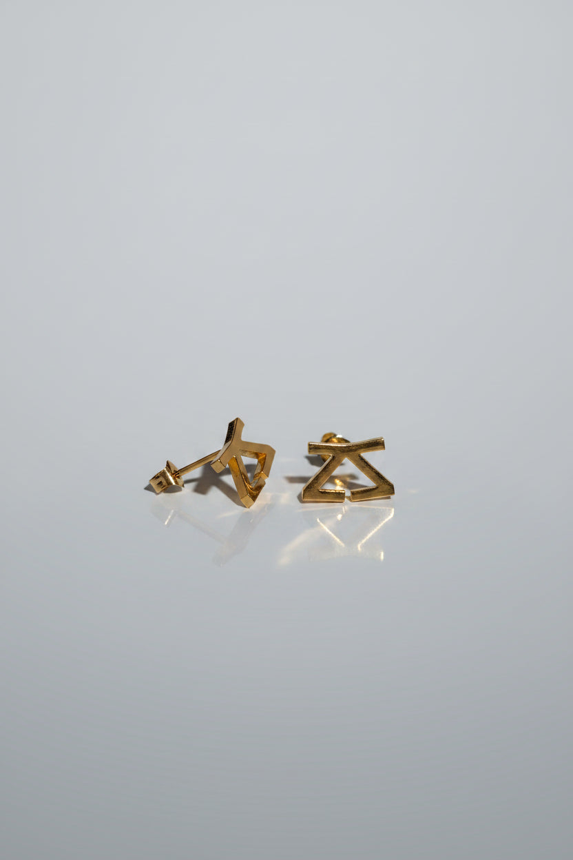 Zymosis earrings